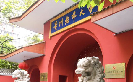 �F�������W